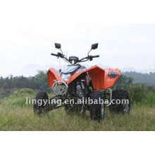 300cc EEC moto quad/ATV (modelo caliente)